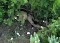 UA detects RU vehicles and troops, an artillery strike follows