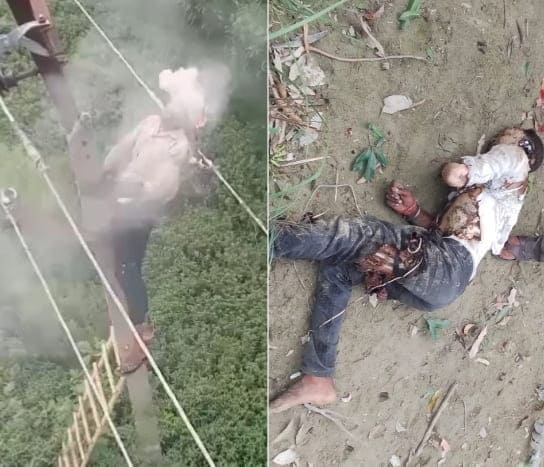 Electrical Worker Fries While Repairing Line