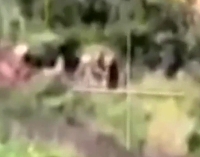 A couple of Russian soldiers were hit by a shell