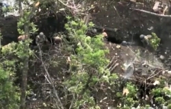 An impact is seen on a ORC trench with multiple people