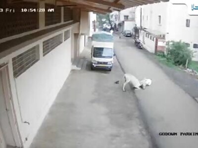 Donkey attacks elderly man at random in India