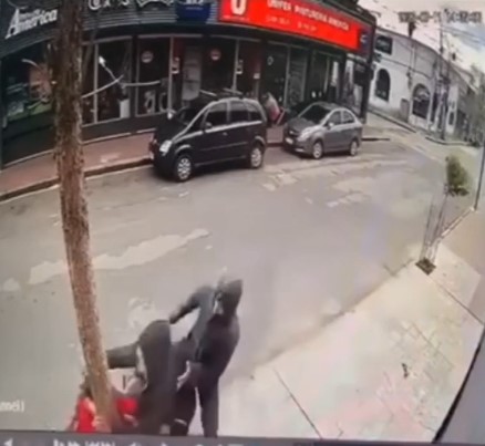 The Palm Tree  Wins This Time