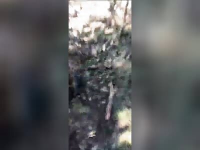 Dead Ukrops In a Forest