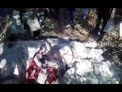 Extreme Acts Of Violence