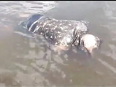 The body of a drowned man floats in the river