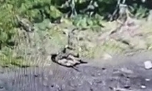 Group of Russian soldiers is hit by artillery