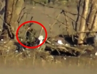 Ukrainian sniper killing a ORC in a trench