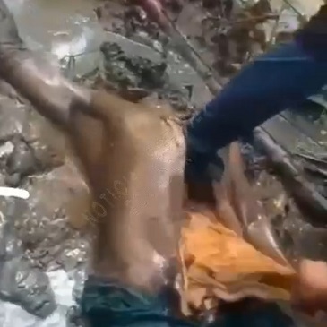 Rival Gang Member Beheaded & Dismembered In Ecuador (Full)