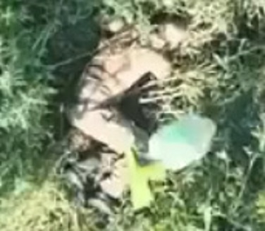 Another Russian Taken Out by Drone Grenade