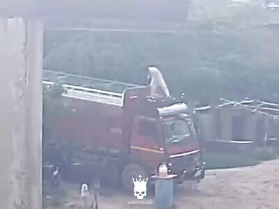 A truck driver was electrocuted to death.