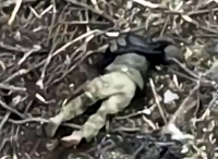 Tanks assault against a ORCs position near Bakhmut, KIAs visible