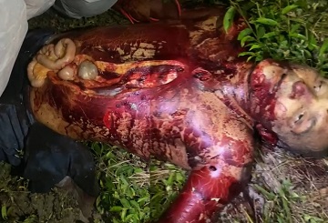 Gruesome Find In Brazil
