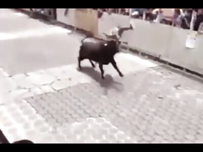 bull festival in mexico 