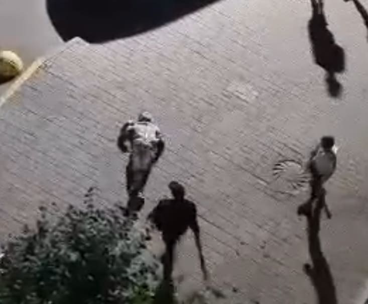 Guy Gets Brutalized With Wooden Plank