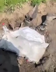 A killed ORC is shown head-first in a hole...