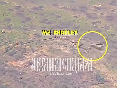 Another Bradley Gets Hit. 