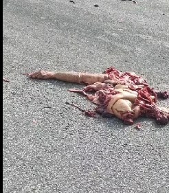 man flipped pancake on highway