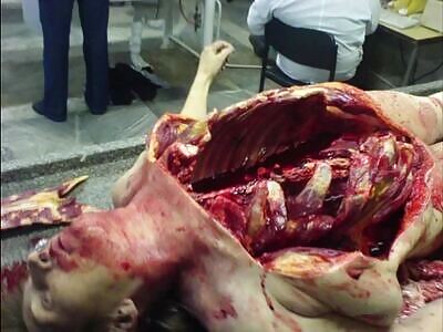 Random Death And Gore Pictures Compilation Part 4