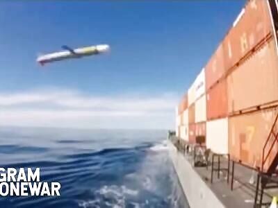 I though a Bird hit the Container... It Wasn't