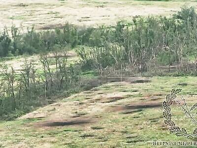 Swedish Supplied CV-90 IFV Hit 