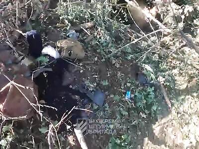 Trista UA still gettin POW ruskies