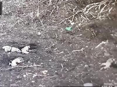 ORCs light machined-up