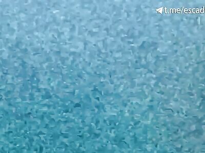 UA Drone takes out russian BMP