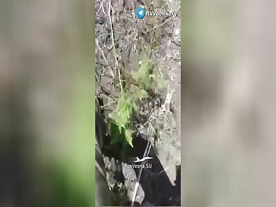 Dead Ukrops in the forests of Kremennaya 