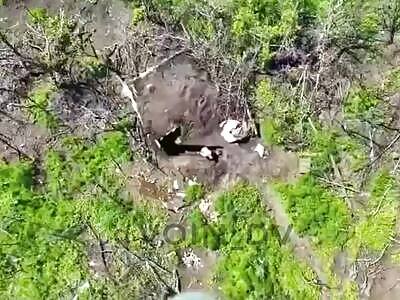 Ukrop Barley Avoids Drone Drop. 