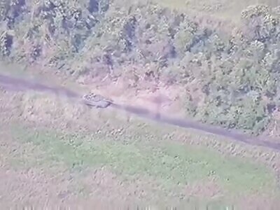 Ukrop Tank Hit and Abandoned 