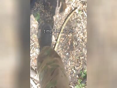 Ukrops Evacuate a 300th under fire. 