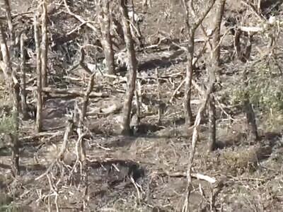 Unfortunate russian soldier inhales a grenade