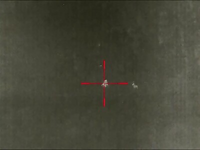 Sniper Knocks Out Ukrop in The Zaporozhye Direction 