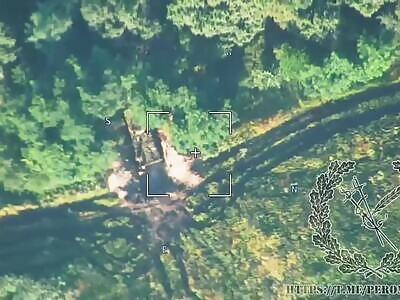 Lancet Desrtoys Ukrop Slef Propelled Howitzer 