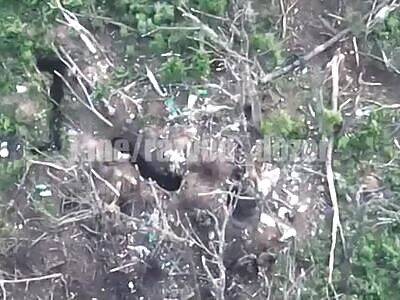 6 Ukrops Surrender to RU Troops 