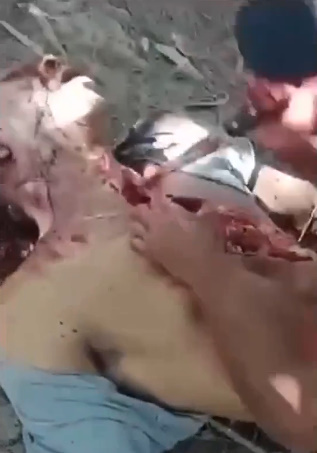 COMMON DAYS IN BRAZIL PART 4