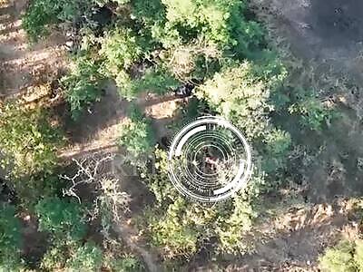 VOG's Dropped on Ukrops 