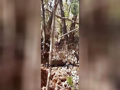 Ukrainian soldier shows russian bodies