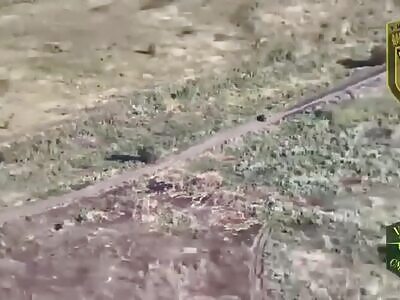 Ukrainian arty makes minced meat from russians