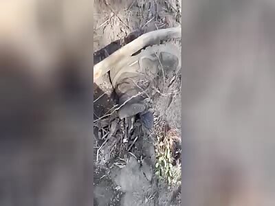 This is what Russian feet look like when they set foot on Ukraine