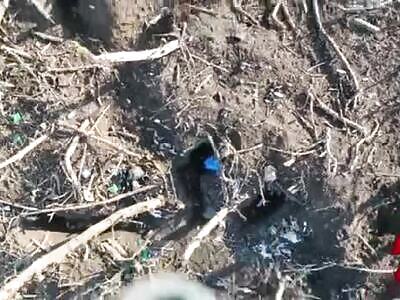 Strike Drone Attacks on Ukrops 