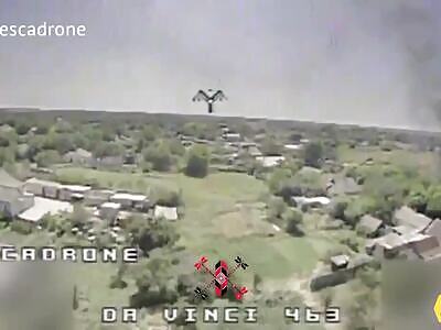 Russian IFV didn't hide in the bushes from a kamikaze drone