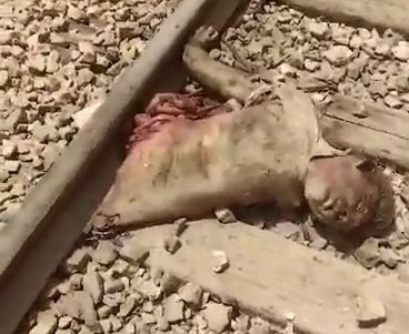 A half dead body on train track of pakistani train crashed today 