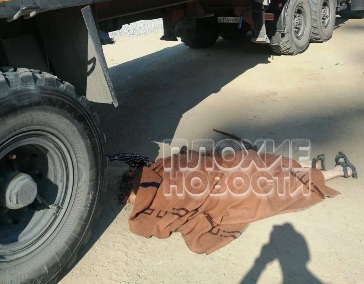 driver tried to stop his own truck and got hit by the wheels