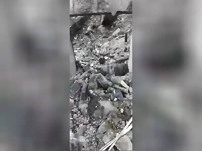 TheYNC Challenge: Count The Bodies