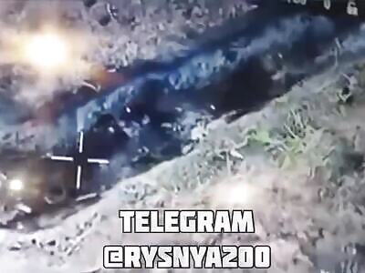 Full trench of Russian corpses