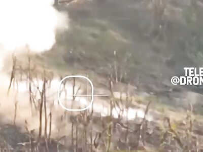 Ukrops Smashed By Arty 