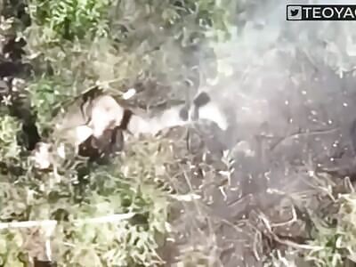 UA drone didn't allow the Russians to relax