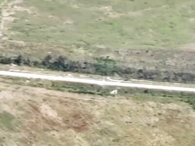  Destruction of the Russian 82-mm mortar 2B9 