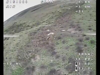 Minus 2 katsaps by ua kamikaze drone